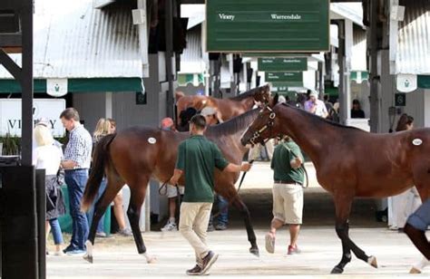 keeneland sale 2021 live coverage.